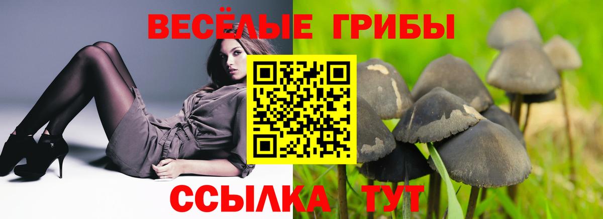 Галлюциногенные грибы Magic Shrooms  Вход с VPN  Псилоцибиновые грибы ЛСД  как найти   Воткинск 